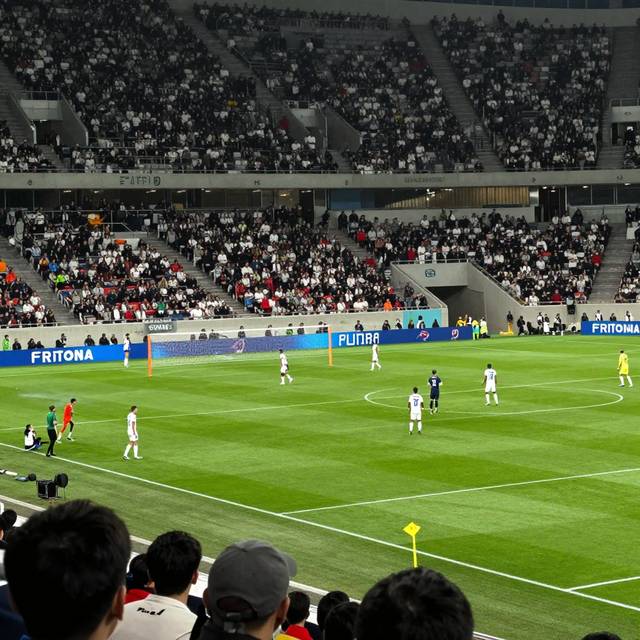 post_img_1783286555_8654